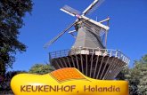 Podróże   Holandia - Ogród Keukenhof