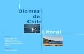 Bioma de Chile Litoral