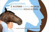 Coaching z końmi