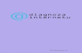 2009.03 Diagnoza Internetu 2008 - Raport
