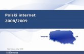 gemiusReport_Polish internet 2008/2009 (in Polish)