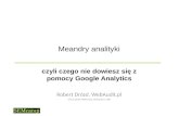 Meandry Analityki (SEMcamp, 24.02.2010)