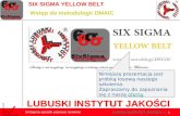 Six Sigma yellow belt. Lubuski Instytut Jakości