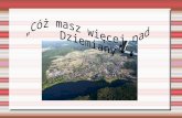 Gmina w Dziemianach. Znajduje się w powiecie kościerskim województwa pomorskiego. Leży na szlaku kolejowym Chojnice - Kościerzyna oraz posiada bezpośrednie.