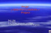 Projet « IRIS-PSY-LIAISON » Project Prof. I. Pelc C. Fontaine Dr. B. Fischler, coordination scientifique J. Libbrecht, PhD, responsable secteur Brugmann.