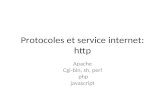 Protocoles et service internet: http Apache Cgi-bin, sh, perl php javascript.
