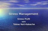 Stress Management Stress Profil von Tobias Nait-Kabache.