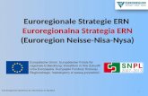 Euroregionale Strategie ERN Euroregionalna Strategia ERN (Euroregion Neisse-Nisa-Nysa) 1 5.Euroregionale Konferenz St. Marienthal 27.06.2013.