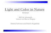Light and Color in Nature Dennis Schwarz und Patrick Kapahnke Seminar MPI für Informatik, betreut von Marcus Magnor 14.02.04.