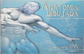Ariel Olivetti - Anatomia Dibujada
