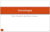 Prof. Everton da Silva Correa Sociologia 1. Alexis de Tocqueville  2.