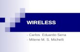 WIRELESS - Carlos Eduardo Sena - Milene M. S. Michelli.