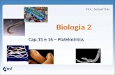 Biologia 2 Cap.15 e 16 – Platelmintos Prof.: Samuel Bitu.