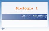 Biologia 2 Cap.:17 - Nematelmintos Prof.: Samuel Bitu.
