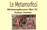 Elenarovelli1 Metamorphoseon libri XI Asinus Aureus.
