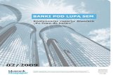 Banki pod lupą SEM - raport Bluerank