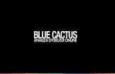 [PL] Restauracja Blue Cactus - analiza dyskusji online