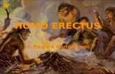 5 Homo Erectus