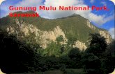 Gunung Mulu National Park, Sarawak