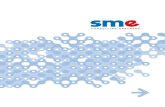 SME Consulting Partners offer