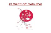 Flores de Sakura!