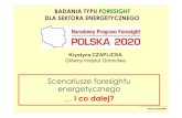 NPF Polska 2020, prezentacja prof. Krystyny Czaplickiej