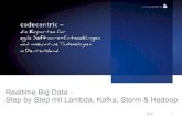 Realtime BigData Step by Step mit Lambda, Kafka, Storm und Hadoop
