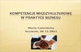Kompetencje międzykulturowe w praktyce biznesu 2011