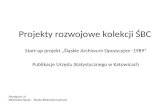 Projekty rozwojowe kolekcji Śląskiej Biblioteki Cyfrowej