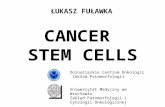 CANCER STEM CELLS