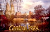Central Park Ny
