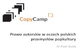 Prawo autorskie w oczach polskich przemysłów popkultury