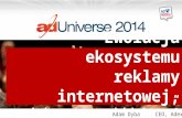 Ewolucja ekosystemu reklamy internetowej AdUniverse 2014