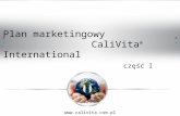 Plan marketingowy Calivita