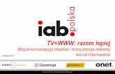 Raport IAB Polska Razem Lepiej 2011