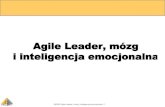 Agile Leader, mózg i inteligencja emocjonalna - Jerzy Stawicki @ Agile Management 2014 Poland