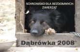 OTOZ Animals - schronisko w Dabrowce k. Wejherowa