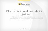 Płatności online dziś i jutro - PayLane [PL]