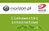 Morizon.pl - dla pośredników SPPON