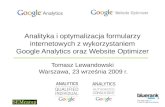 Analityka i optymalizacja formularzy internetowych z wykorzystaniem GA i GWO - Bluerank (T.Lewandowski)