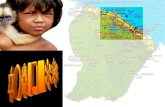 AMAZONIA A GRANDE FLORESTA DO MUNDO