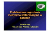 Zagrożenia Medyczno-weterynaryjne w Paszach