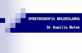 Wykład - spektroskopia molekularna od dr Kamilli Małek