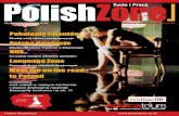 Polish Zone Issue  9
