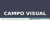 Campo Visual y perimetria