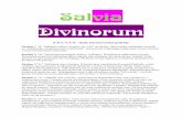 Rośliny szamańskie - Salvia Divinorum