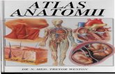 Treyor Atlas Anatomii