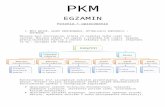 PKM - opracowane zagadnienia (office 1997-2003)(2)