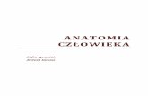 Ignasiak Zofia - Anatomia człowieka