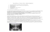 Radiologia de abdomen